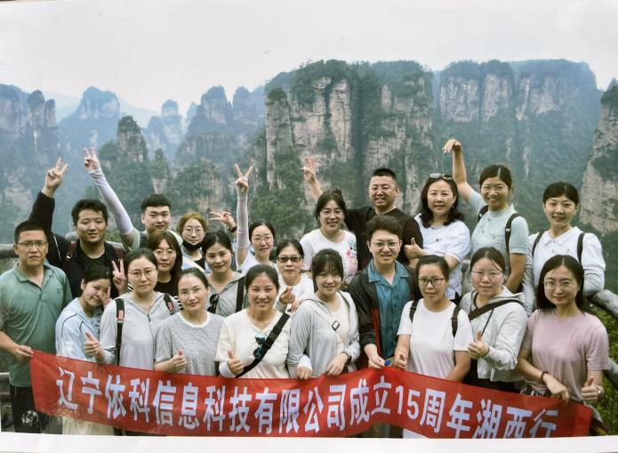 大连咨询公司